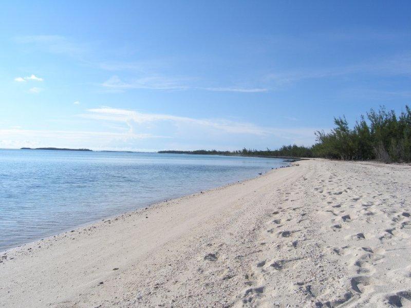 Caribbean Sandcastle Home James Cistern Bagian luar foto